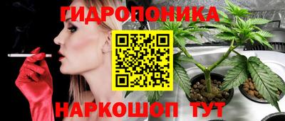 молекула духа Гусь-Хрустальный