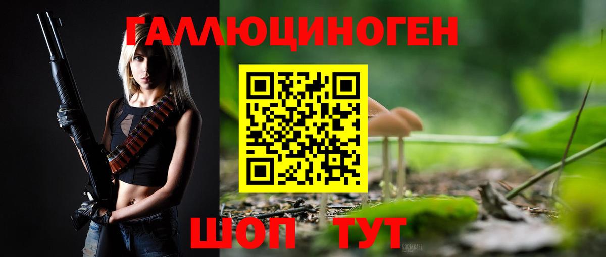 Псилоцибиновые грибы Psilocybe Назрань