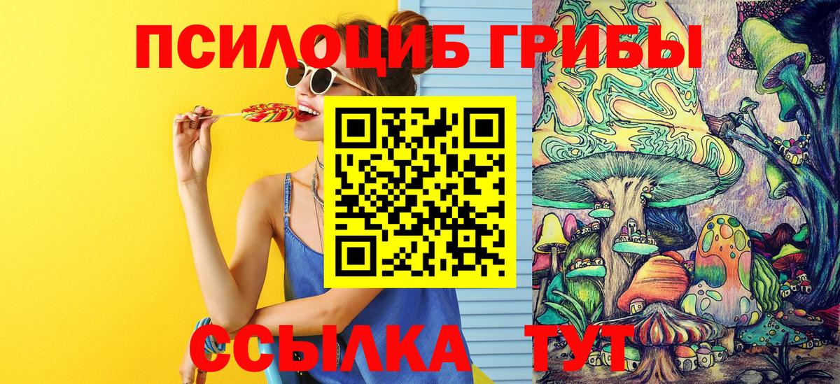 Назрань  Галлюциногенные грибы Cubensis  Вход с VPN  Галлюциногенные грибы Cubensis 